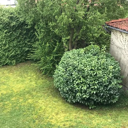 Franciska Apartman شقة Hévíz